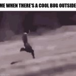 Indeed there was a cool Buprestidae on the ground | ME WHEN THERE'S A COOL BUG OUTSIDE | image tagged in gifs,memes,relatable,shitpost | made w/ Imgflip video-to-gif maker