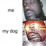 i dont need to explain | *hears fireworks*; me; my dog; my grandpa | image tagged in i sleep real shit ascended | made w/ Imgflip meme maker