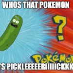 who is that pokemon | WHOS THAT POKEMON; ITS PICKLEEEEERIIIIICKKKK | image tagged in who is that pokemon | made w/ Imgflip meme maker