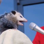 opossum announcement