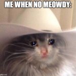 The Texan Cat needs his meowdy's :'< I would appreciate one pardner! | ME WHEN NO MEOWDY: | image tagged in sad cowboy cat,texas,cats,funny,memes,dank memes | made w/ Imgflip meme maker