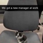 We got a new manager at work