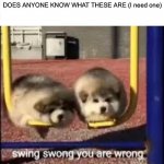 SWING SWONG YOU ARE WRONG | DOES ANYONE KNOW WHAT THESE ARE (I need one) | image tagged in swing swong you are wrong | made w/ Imgflip meme maker