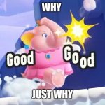 god why | WHY; JUST WHY | image tagged in princess elephant peach,princess peach,elephant,super mario bros,nintendo switch,nintendo | made w/ Imgflip meme maker