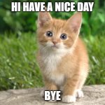 Hi | HI HAVE A NICE DAY; BYE | image tagged in cute cats | made w/ Imgflip meme maker