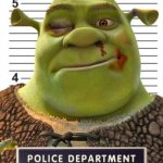 Shrek mugshot