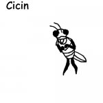 Cicin