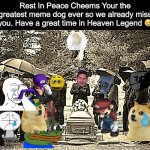 Rest In Peace Cheems | Rest In Peace Cheems Your the greatest meme dog ever so we already miss you. Have a great time in Heaven Legend 😢 | image tagged in funeral,sad,memes,not funny,cheems,depression | made w/ Imgflip meme maker