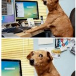 Dog behind computer zoom