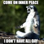 Meditating lemur | COME ON INNER PEACE; I DON'T HAVE ALL DAY | image tagged in meditating lemur | made w/ Imgflip meme maker