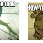 How you think you look vs how you really look | HOW YOU ACTUALLY LOOK; HOW YOU THINK YOU LOOK | image tagged in leslie's hallucination tawog | made w/ Imgflip meme maker