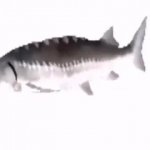 spinning fish GIF Template