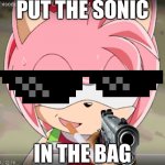 Amy Rose! | PUT THE SONIC; IN THE BAG | image tagged in amy rose,guns | made w/ Imgflip meme maker