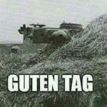 Guten tag | image tagged in german guten tag tiger,guten tag,germans be like | made w/ Imgflip meme maker