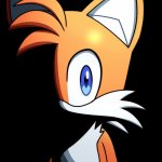 Tails stare