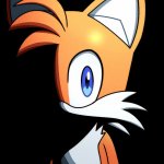 Tails stare template