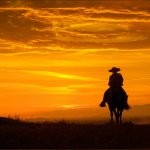 Cowboy riding horse sunset
