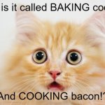 Realisation Cat | Why is it called BAKING cookies; And COOKING bacon!? | image tagged in realisation cat,memes,fun,funny | made w/ Imgflip meme maker