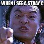 Meme | ME WHEN I SEE A STRAY CAT: | image tagged in your soul is mine | made w/ Imgflip meme maker