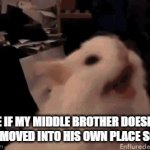 I can't take it anymore and over 2 years that's definitely way way way way waayyy too long for me to put up with it anymore | ME IF MY MIDDLE BROTHER DOESN'T GET MOVED INTO HIS OWN PLACE SOON | image tagged in gifs,relatable,enough is enough,savage memes,scumbag families,dank memes | made w/ Imgflip video-to-gif maker