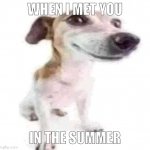 Jack Russell terrier stock photo | WHEN I MET YOU; IN THE SUMMER | image tagged in jack russell terrier stock photo | made w/ Imgflip meme maker