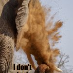 Dusty elephant | Mr. Stark? I don't feel so good. | image tagged in dusty elephant | made w/ Imgflip meme maker