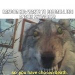 so you have chosen death | RANDOM KID: WANTS TO BECOME A JEDI
ANAKIN SKYWALKER | image tagged in so you have chosen death | made w/ Imgflip meme maker