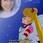 sailor moon tribute