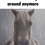 I’m not horsing around anymore