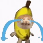 Banana Cat Crying template