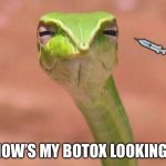 Skeptical snake | 💉; HOW’S MY BOTOX LOOKING? | image tagged in skeptical snake | made w/ Imgflip meme maker