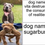 Blank Comic Panel 2x2 Meme | dog named vita destruentis, the consumer of realities; dog named sugarbuns | image tagged in memes,blank comic panel 2x2 | made w/ Imgflip meme maker