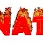 NAT GIF Template
