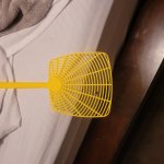 Fly on swatter