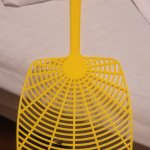 Fly lands on swatter