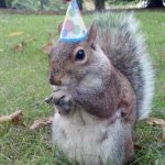 Super Birthday Squirrel | HAPPY BIRTHDAY ICEU | image tagged in memes,super birthday squirrel | made w/ Imgflip meme maker