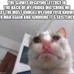 Im sorry but i cant resist... -_- | THE SLOWLY DECAYING LETTUCE IN THE BACK OF MY FRIDGE WATCHING ME EAT THE MOST UNHEALTHY FOOD EVER KNOWN TO MAN AGAIN AND IGNORING IT'S EXISTENCE: | image tagged in sad cat - gato triste,food,fridge,funny,memes,dank memes | made w/ Imgflip meme maker