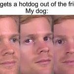 Fourth wall breaking white guy | Me:*gets a hotdog out of the fridge*
My dog: | image tagged in fourth wall breaking white guy | made w/ Imgflip meme maker