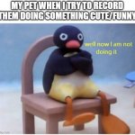 Recording your pet | MY PET WHEN I TRY TO RECORD THEM DOING SOMETHING CUTE/FUNNY | image tagged in well now i'm not doing it | made w/ Imgflip meme maker