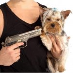 dog hostage