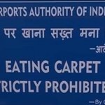 do not eat the carpet