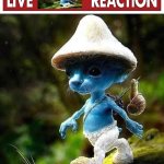 live smurf reaction