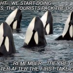 pre-game huddle | ALRIGHT... WE START DOING TRICKS, THE TOURISTS PACK THE DOCK... REMEMBER --THEY'RE GONNA SCATTER AFTER THE FIRST TAKE DOWN | image tagged in orca | made w/ Imgflip meme maker