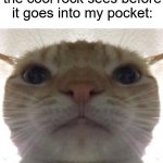 Anyone else enjoy finding rocks? ✍️(◔◡◔) | The last thing that the cool rock sees before it goes into my pocket: | image tagged in staring cat/gusic,memes,funny,true story,relatable memes,rocks | made w/ Imgflip meme maker