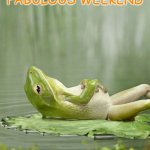 Weekend Frog | NOW THAT WAS A 
FABULOUS WEEKEND; I needed that | image tagged in weekend frog | made w/ Imgflip meme maker
