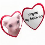 Bingus my beloved meme