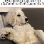 Dog sitting up straight | 6 y/o me looking at the restaurant after I see the  waiter bring me my food | image tagged in dog sitting up straight | made w/ Imgflip meme maker