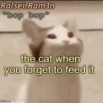 cats | the cat when you forget to feed it | image tagged in bop cat | made w/ Imgflip meme maker