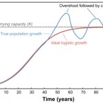 population_overshoot_456