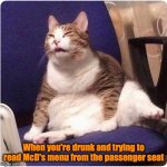 Fat Cat | When you're drunk and trying to read McD's menu from the passenger seat | image tagged in fat cat | made w/ Imgflip meme maker